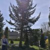 img_20170502_110741